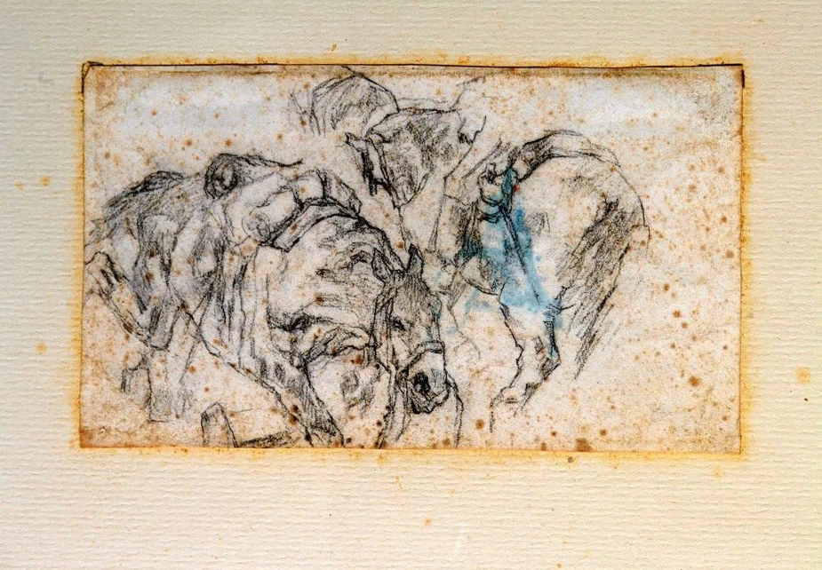 Due cavalli - Galleria Civica d’Arte Moderna e Contemporanea, Torino